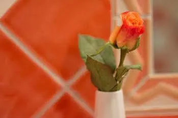 Szálloda Casa Rustica - Eintrittskarten Fuer Den Europapark Erhalten Sie Garantiert Ueber Uns! 3*